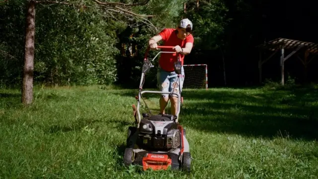 Нина с газонокосилкой