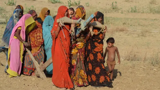 এলাহাবাদের কাছে পাদৌরি পূজায় নারীরা এভাবে ক্ষেতের ওপর দিয়ে লাঙল টেনে নিয়ে যান।