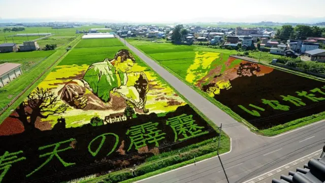 Рисові картини