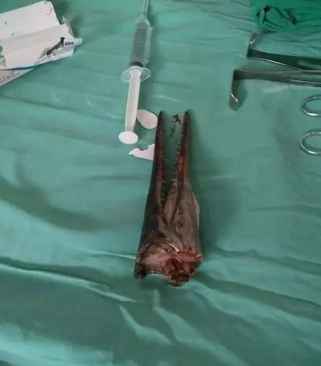 మహమ్మద్ ఇదుల్