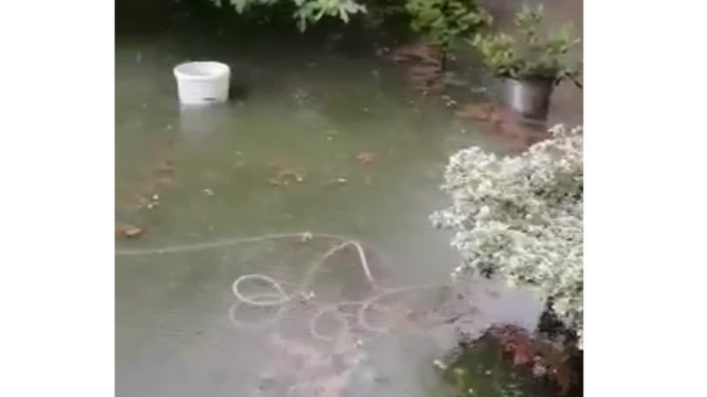 Poplavnjeno dvorište Aleksandra Arnautovića