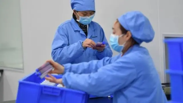 भारत टेस्टिंग