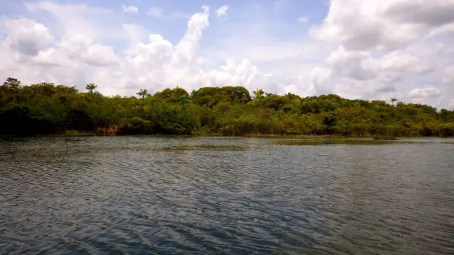 Pesquisadores da Universidadeh2 apostas esportivasExeter fizeram estudo que descobriu presença do homem na Amazônia há 4,5 mil anos