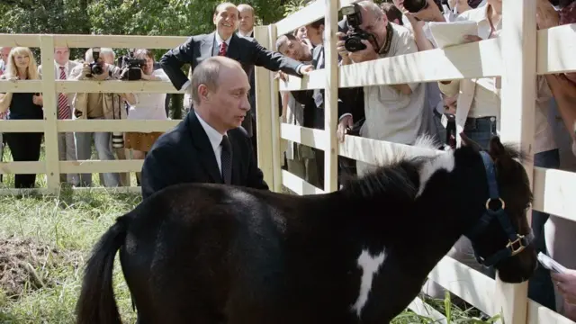 Putin və poni "Vadik"