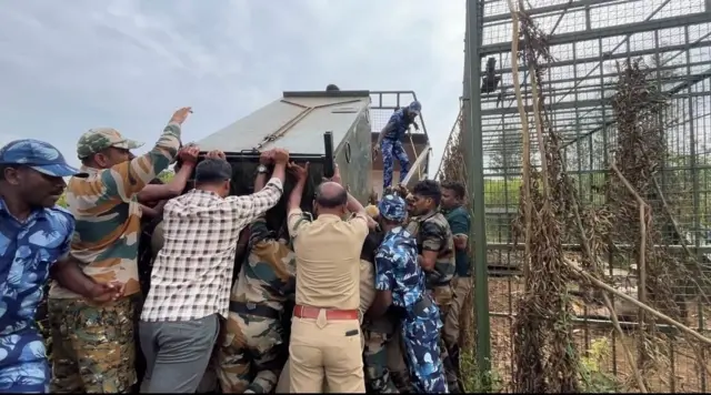 புலியை கூண்டு வைத்து பிடித்தது எப்படி?, ஆட்கொல்லி புலி சிக்குமா? 