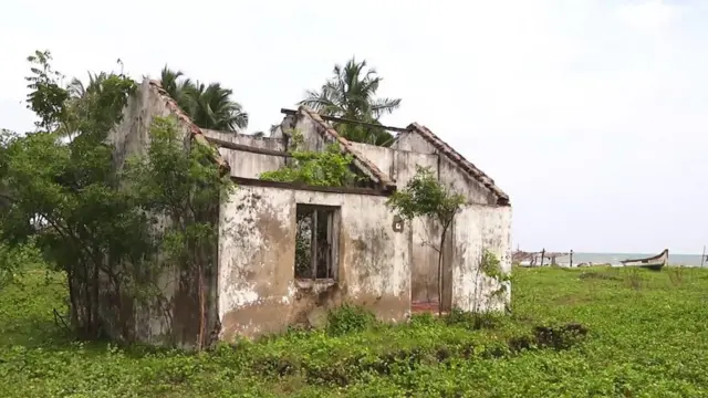 சுனாமி பேரலை