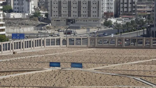 Kompleks Masjid Nabawi.