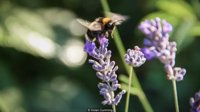 प्रजनन, नर-मादा संबंध