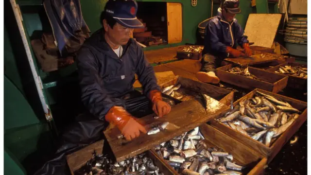 Awọn oniṣowo ẹja