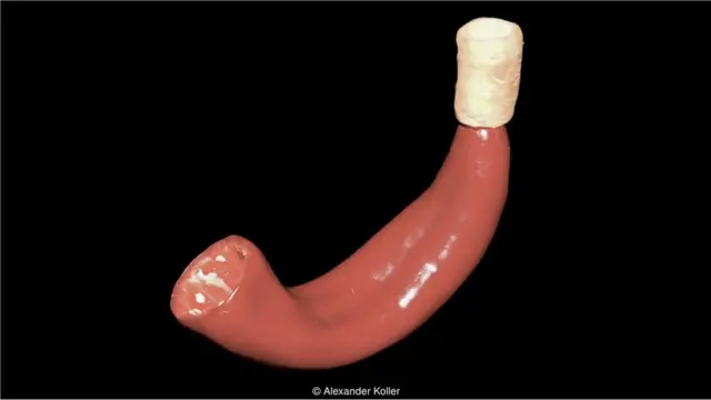 Corneta de pimentão