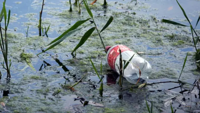Una botella en un lago