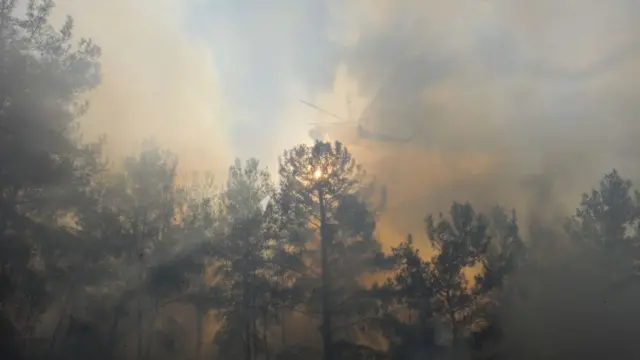 Горящий лес и пожарный вертолет