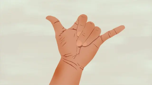 ਹਵਾਈ ਕਲਚਰ ਵਿੱਚ ਸ਼ਾਕਾ ਚਿੰਨ੍ਹ ਬਣਾ ਕੇ ਚੀਚੀ ਤੇ ਅੰਗੂਠਾ ਮਿਲਾਉਣ ਲਈ ਦੂਜੇ ਵੱਲ ਵਧਾਏ ਜਾਂਦੇ ਹਨ