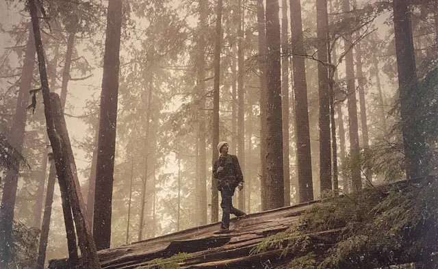 Robert Paine na floresta quando era jovem