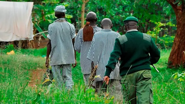 Kenya. Nairobi. Kamiti Village. Prisoner Going To Work