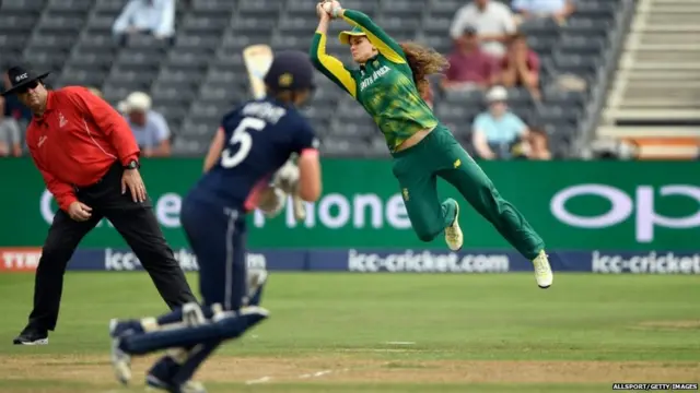 क्रिकेट