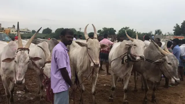 வெங்கல் மாட்டுச்சந்தை