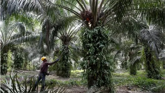 मलेशिया