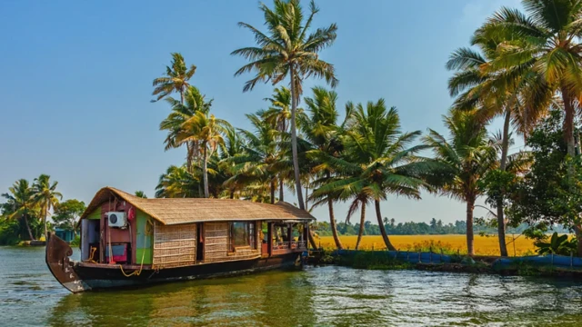 ஆயுர்வேதச் சிகிச்சை.