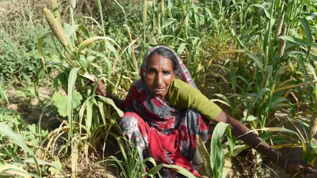 ખેડૂત મહિલા