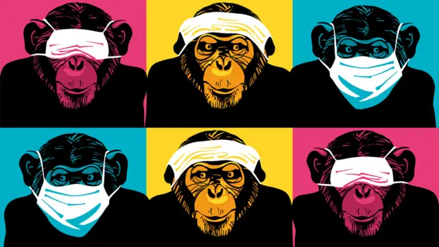 Ilustração com chimpanzés usando máscara