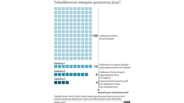 Ragaa talaaliiwwan koronaavaayrasii