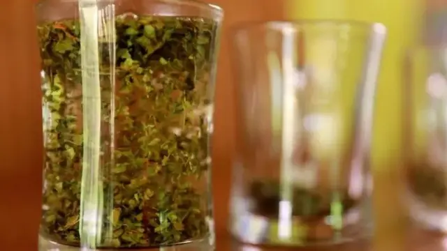 Kratom dikonsumsi dalam bentuk teh di Kalimantan Barat. Sedang untuk diekspor, kratom diolah lagi menjadi bubuk.