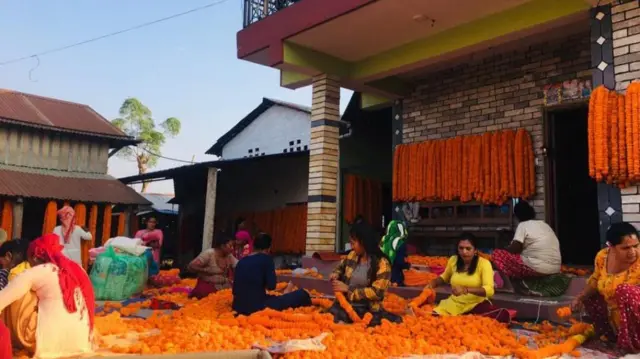 बजार पठाउन सयपत्रीको माला तयार पार्दै चितवनका महिला