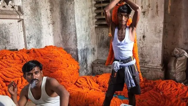 कोरोना व्हायरस