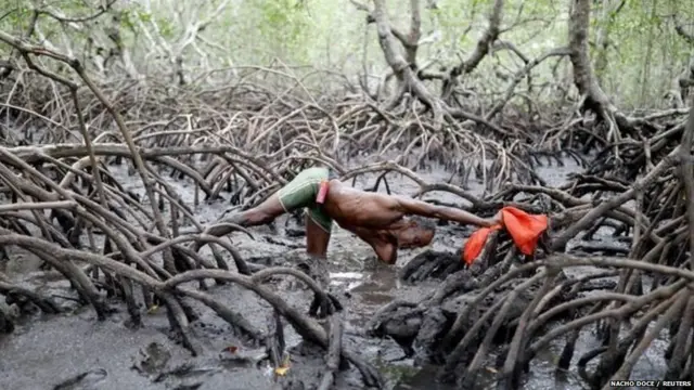 ਬ੍ਰਾਜ਼ੀਲ ਵਿੱਚ ਮੱਛੀ ਤੇ ਕੇਕੜੇ ਫੜਣਾ ਕਿਉਂ ਹੈ ਖ਼ਾਸ