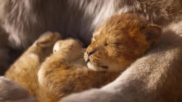 The Lion King