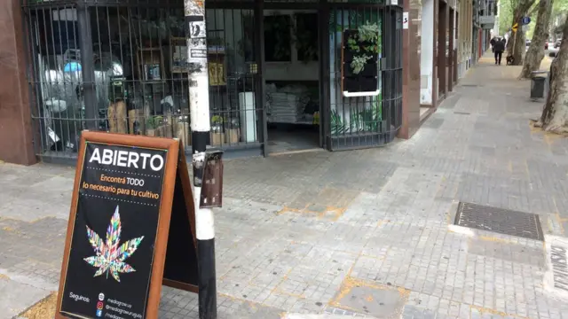 Comercio dedicado a abastecer a cultivadores de marihuana en Montevideo.