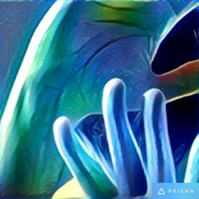 La misma foto con filtro Curtain