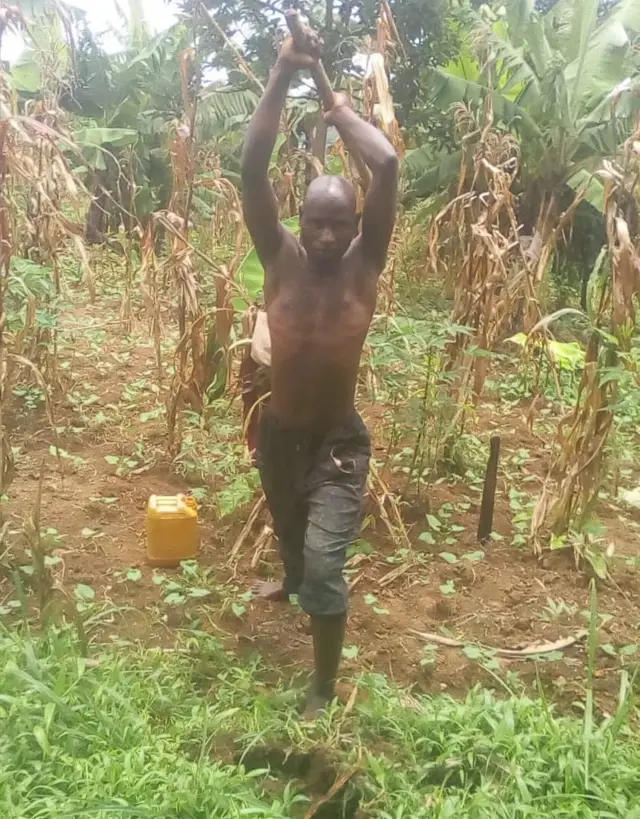 Nimpagaritse ari ku murimo we w'ubuhinzi