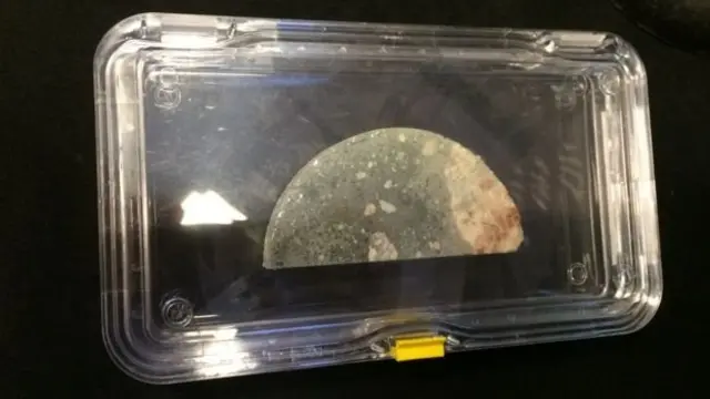 ตัวอย่างแกนกลางของชั้นหินที่ขุดเจาะมาจากขอบวงแหวนของหลุมอุกกาบาตชิกซูลุบ