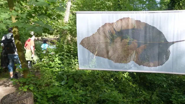 باغ فرانس 'اوختیوناژ' (فردوسِ بریں)