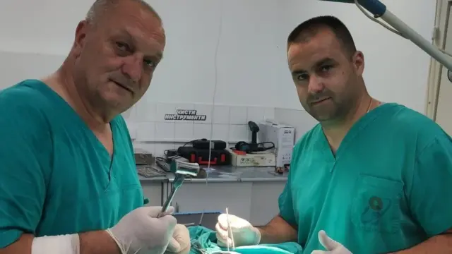 Veterinari