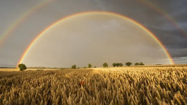 Campo de trigo con doble arco íris