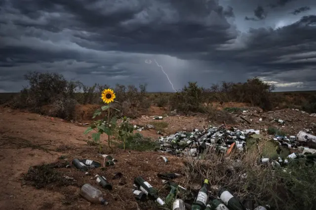 Uma tempestade passa sobre um girassolbet fum depósitobet flixo na África do Sul