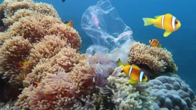 Saco plástico no oceano