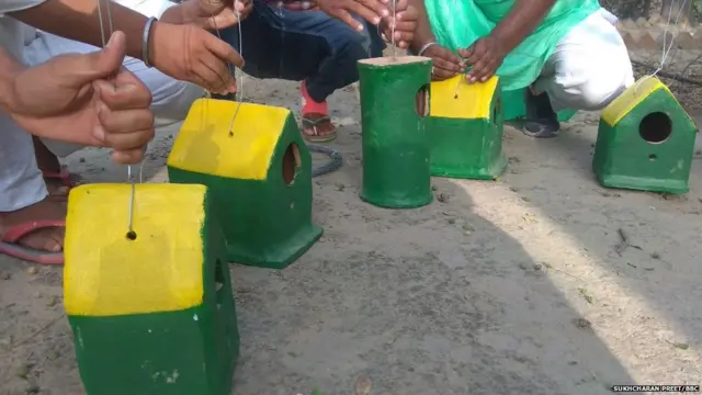 ਪੰਛੀਆਂ ਦੇ ਮੁੜ ਵਸੇਬੇ ਲਈ ਕੰਮ ਕਰਦੇ ਪੰਜਾਬੀ ਨੌਜਵਾਨ