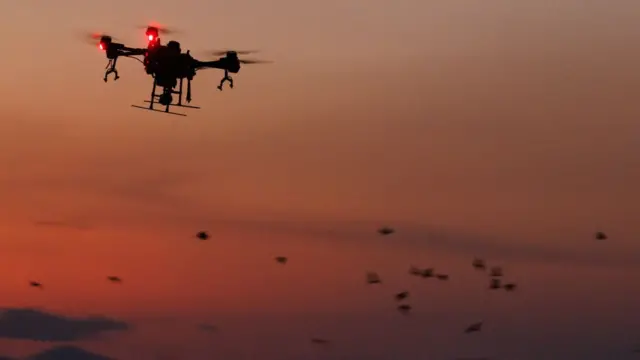 ட் ரோன் நடவடிக்கை