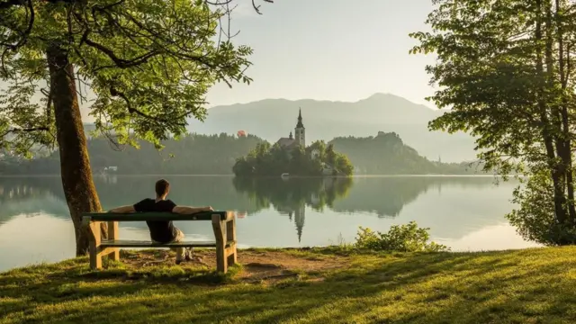 وفر ريكلي شكلا من أشكال الطب البديل يعتمد فيه على العناصر الأربعة للطبيعة: الشمس والماء والهواء والأرض، وذلك لمداواة الأمراض