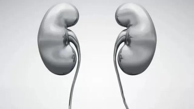 మూత్రపిండాలు