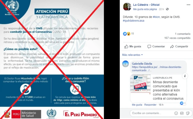 Una recomendación falsa sobre consumo de jengibre