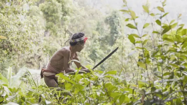 多年来，像印度尼西亚明打威（Mentawai）这样的土著群体一直敦促世界各地采取一种更可持续的方式与自然共存。