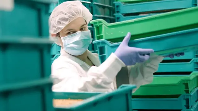 விர்ஜினியா எமரி