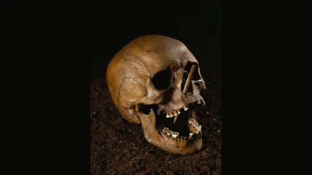 กะโหลกมีลูกศรปัก