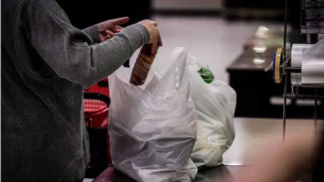 प्लास्टिक पिशवी