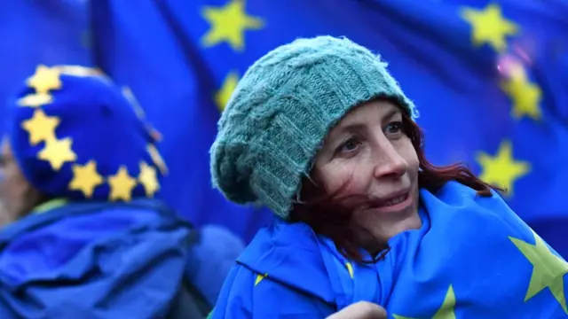 Противниця Брекзиту